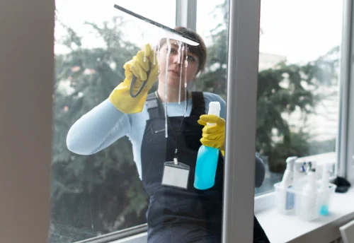 Nettoyage de vitres intérieures et extérieures à Essert-Romand